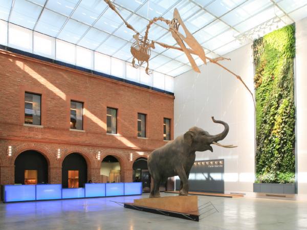 Les 6 meilleurs musées à visiter à Toulouse